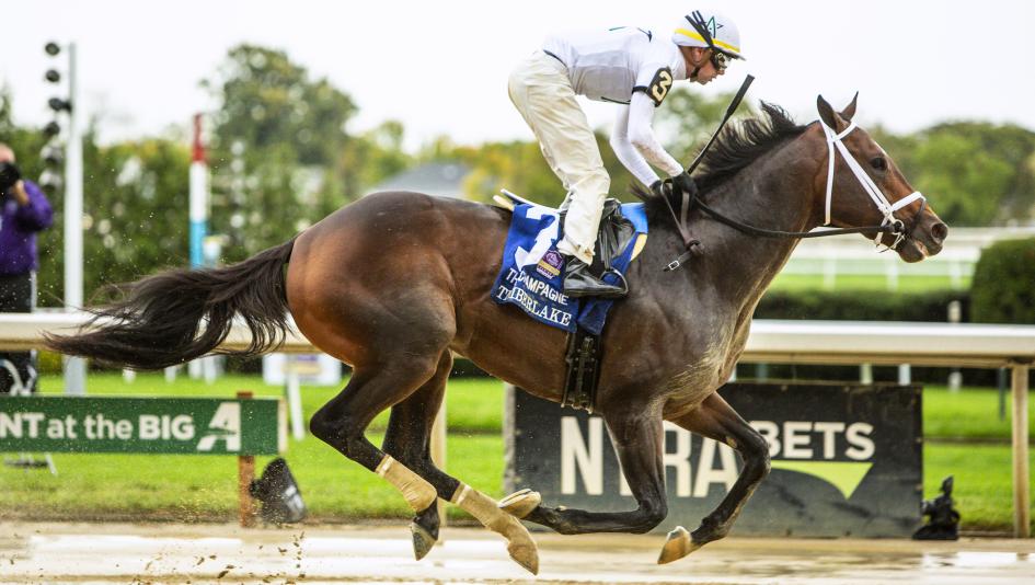 Timberlake, Champagne Stakes, Aqueduct, Eclipse Sportswire